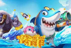 星空全站正式版