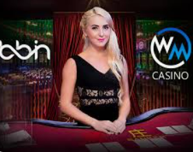 星空全站客户端